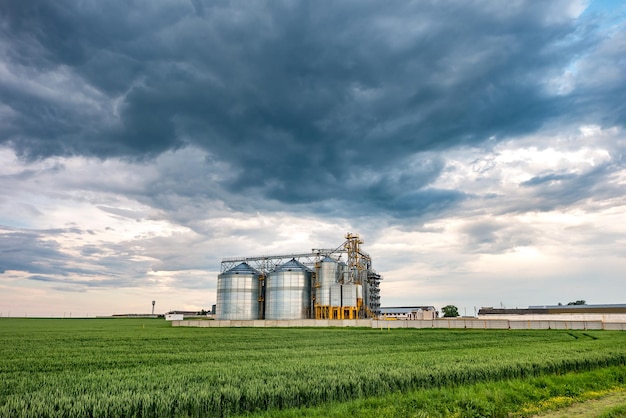 Planta de agroprocesamiento para procesamiento y silos para secado, limpieza y almacenamiento de productos agrícolas, harina, cereales y granos con hermosas nubes.