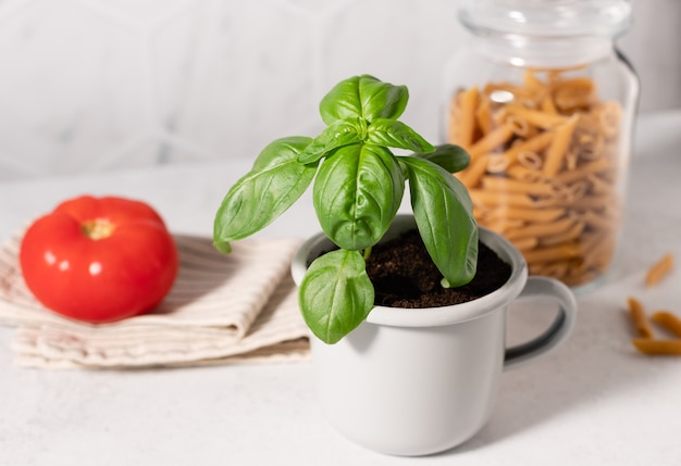 Planta de albahaca en macetas en taza de metal e ingredientes alimentarios en la mesa de la cocina cocina italiana