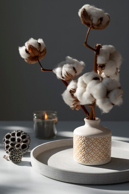 Foto planta de algodón esponjosa en jarrón utilizada en la decoración interior