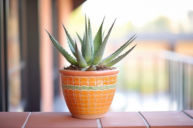 Planta de aloe en maceta de terracota en el balcón