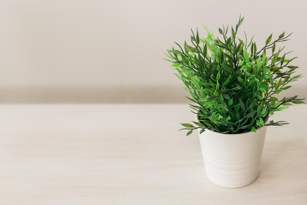 Planta artificial em lugar de fundo de parede branca vazia para o seu conceito de decoração de interiores de texto