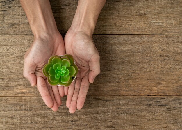 Planta artificial en una mano sobre fondo de tablero de madera.