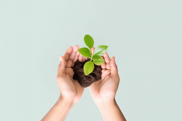 Planta de asimiento manual para salvar el medio ambiente campaña aislada sobre fondo verde pastel