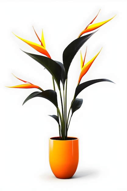 Planta ave del paraíso en maceta Strelitzia