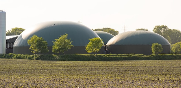 Planta de biogás para la generación de energía