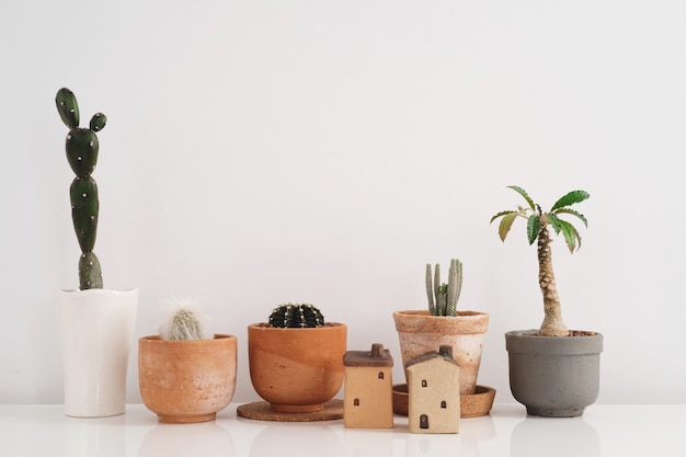 Planta de cactus en arcilla y maceta de cerámica. decoración de la sala de estar