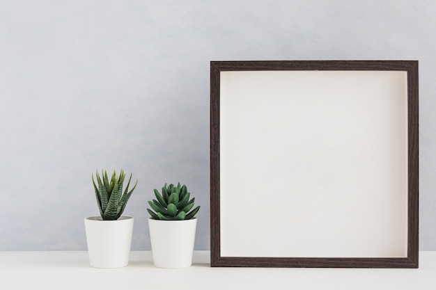 Planta de cactus en maceta blanca dos con marco de foto blanco en blanco en el escritorio contra la pared