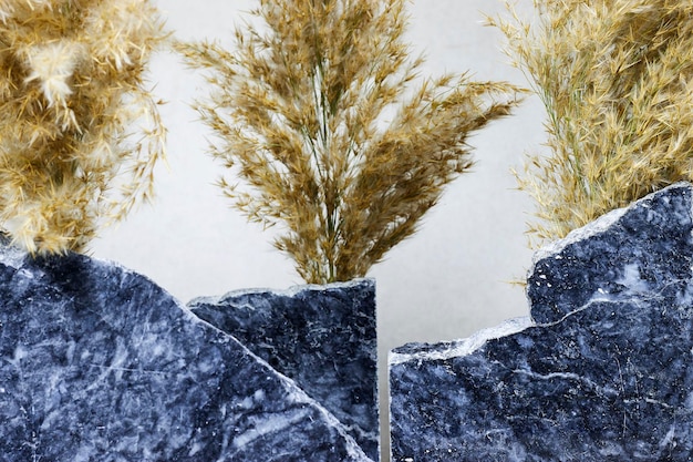 planta de cañas cerca de podio de mármol o piedra belleza promoción del producto exhibición de cosméticos de belleza diario sk