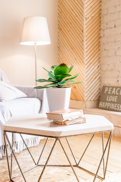 Planta casera colocada en una pequeña mesa en el interior de la habitación luminosa con pinturas, plantas en macetas y lámpara de pie. Elegante interior de sala de estar con mesa de diseño y sofá.