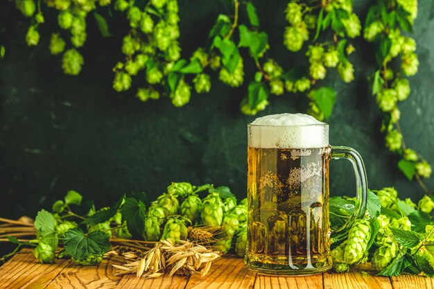 Planta de cerveza y lúpulo Bodegón con planta de cerveza y lúpulo en estilo retro Vaso de cerveza espumosa fría y lúpulo sobre un fondo oscuro