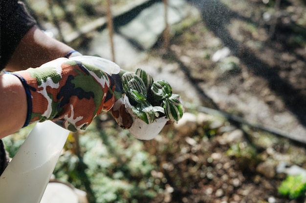 Foto planta com mãos recortadas