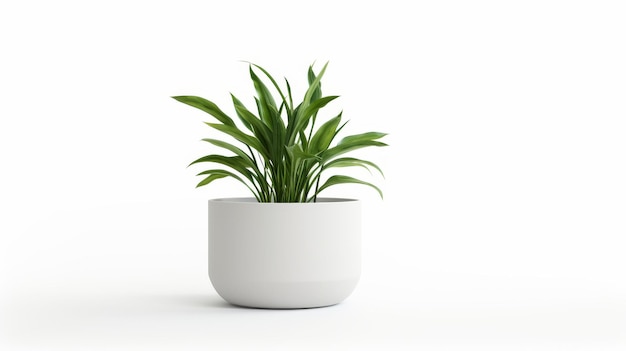 planta com um design minimalista isolado em fundo branco