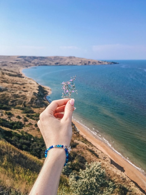 Foto planta cortada com a mão na montanha ao lado do mar contra o céu azul.