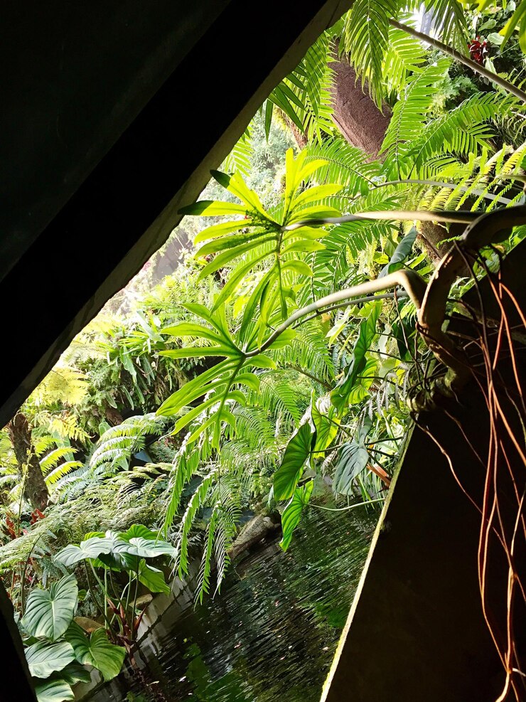 Foto planta crescendo em uma árvore