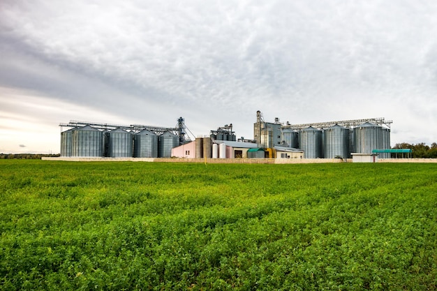 Planta de agroprocessamento e fabricação para processamento e silos de prata para secagem, limpeza e armazenamento de produtos agrícolas farinha de cereais e grãos Elevador de celeiro