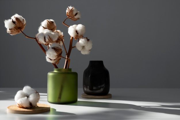 Foto planta de algodão fofo em vaso usada em decoração de interiores