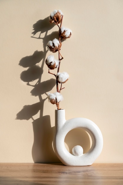 Foto planta de algodão fofo em vaso usada em decoração de interiores