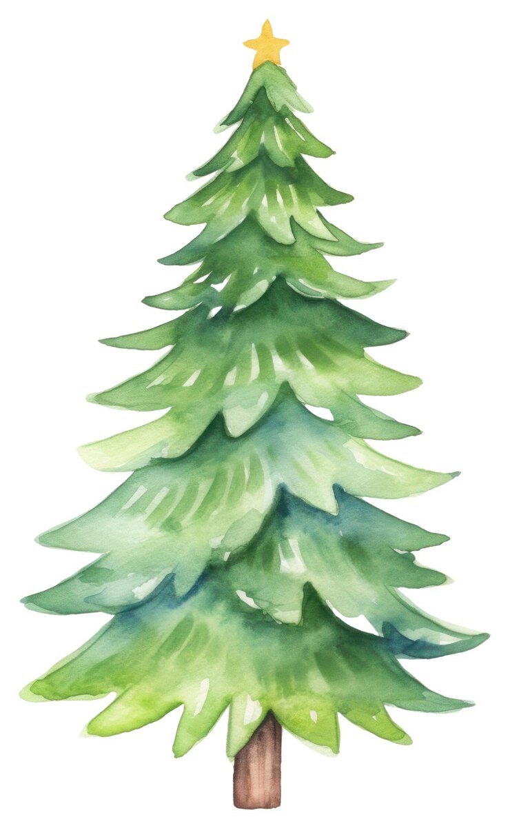 Foto planta de árvore de natal de png fundo branco de pinheiro
