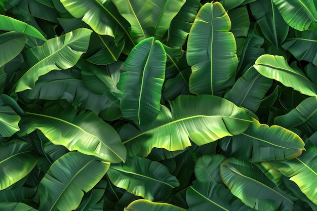 planta de banana com nervuras verdes lindo fundo floral renderização 3d