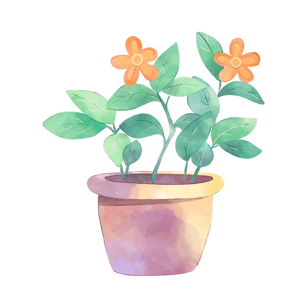 Planta de casa decorativa em vaso Plantas de interior em vasos de flores cesto para interior isolado