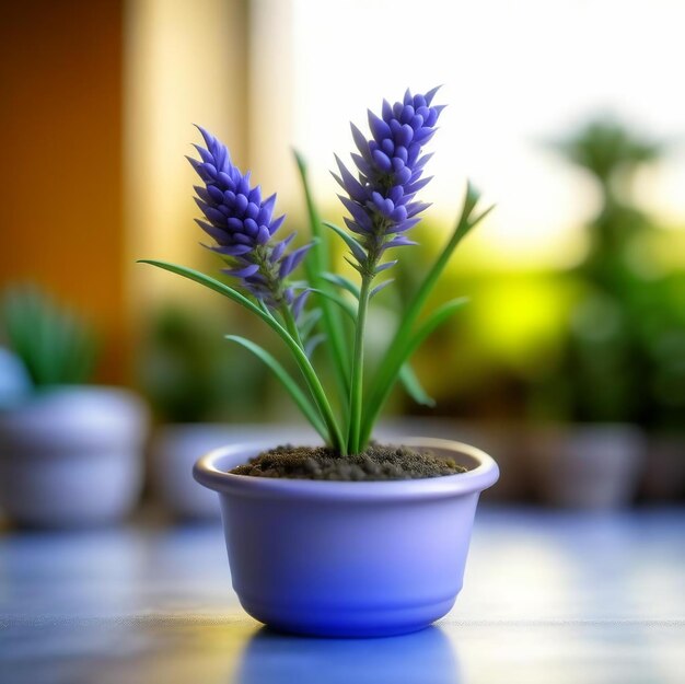 Planta de casa em um vaso com folhagem florida em um fundo mínimo