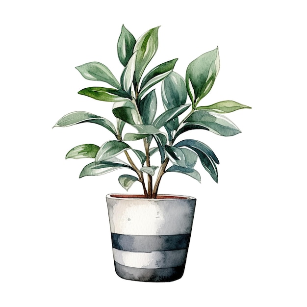 Planta de casa em vaso aquarela ilustração clipart isolado em fundo branco folhas verdes flor