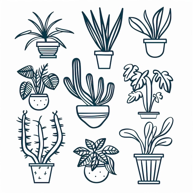 planta de contorno desenhada à mão