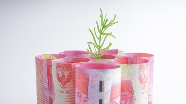 Planta de dinheiro de rupia indonésia em papel-moeda Conceito de negócio de cálculo econômico Foco seletivo