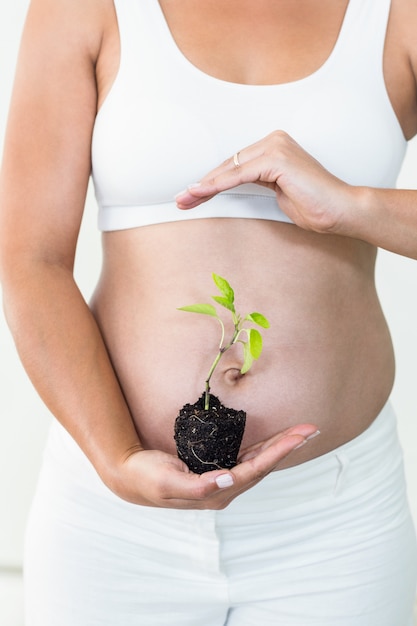 Planta de exploração de mulher grávida