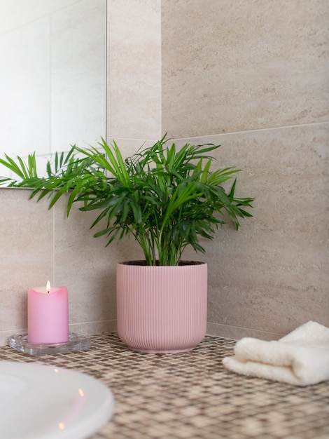 Planta de interior em um vaso de flores, uma vela acesa e uma toalha de banho perto da pia no banheiro. decoração botânica ecológica. imagem vertical.