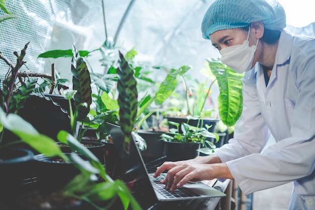 Planta de jardim agrícola em uma estufa moderna, flor da natureza em fazenda, plantação de folhas de vegetais para alimentos orgânicos, indústria cultivada de horticultura botânica, crescimento de sementes com ambiente de luz solar