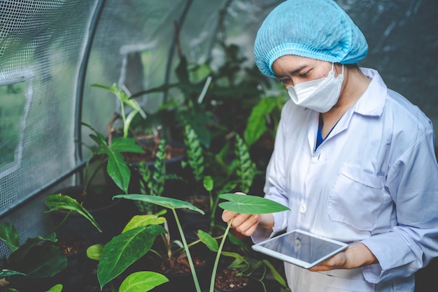 Planta de jardim agrícola em uma estufa moderna, flor da natureza em fazenda, plantação de folhas de vegetais para alimentos orgânicos, indústria cultivada de horticultura botânica, crescimento de sementes com ambiente de luz solar