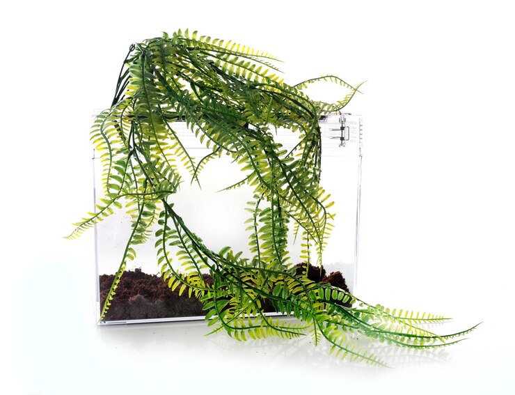 Foto planta de plástico para terrário