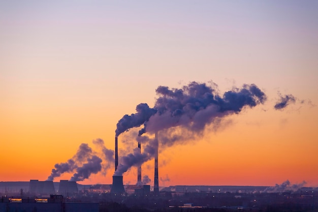 Planta de tubulação contra o céu da manhã