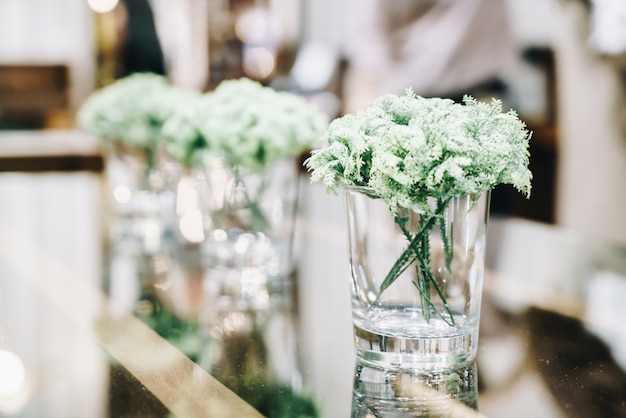 planta en la decoración del florero en la mesa