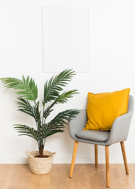 Planta decorativa com moldura vazia e cadeira