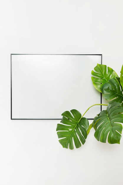 Foto planta decorativa com moldura vazia