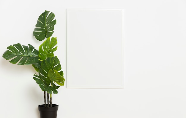 Foto planta decorativa con marco vacío