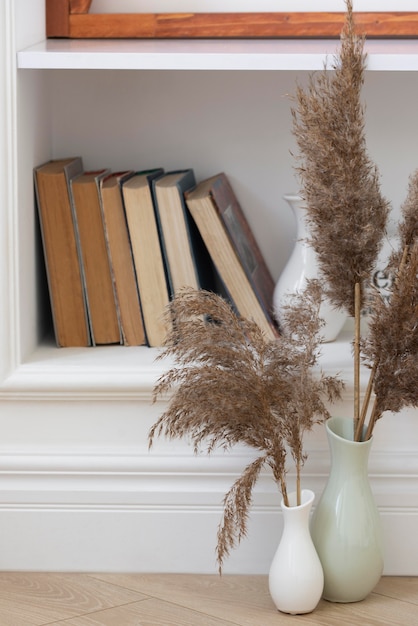 Foto planta decorativa para casa na composição do vaso