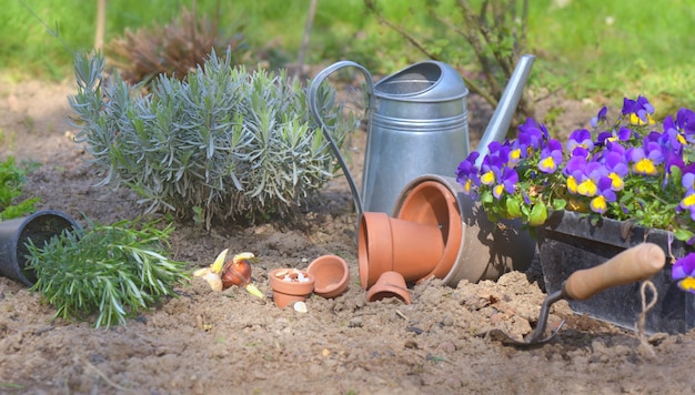 Planta e flores no solo de um jardim para plantatio