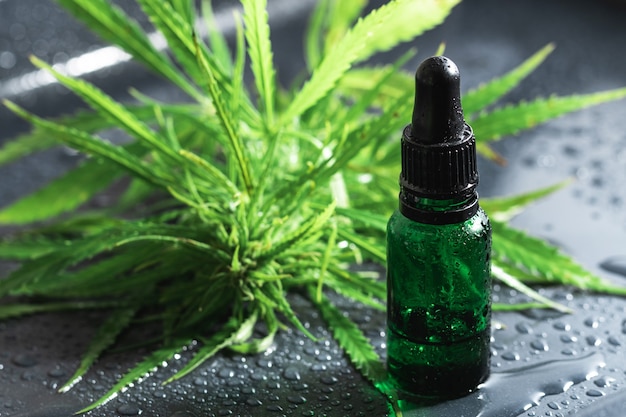 Planta e garrafa de cannabis com óleo cbd na superfície de metal molhada