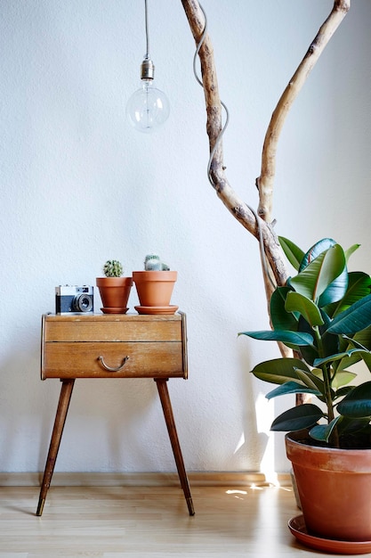 Planta em vaso na mesa em casa