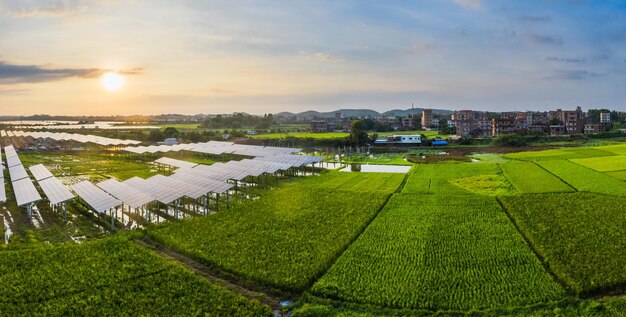 Planta de energía solar