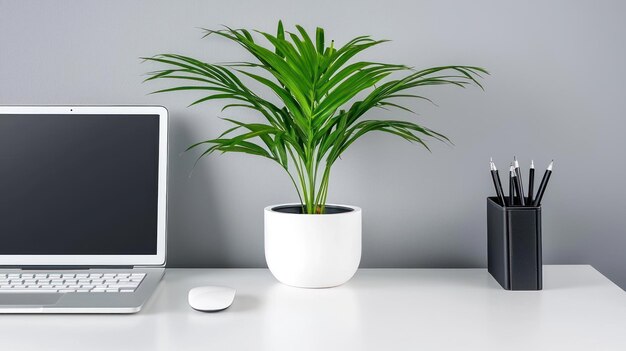 una planta está frente a un monitor de computadora y un monitor
