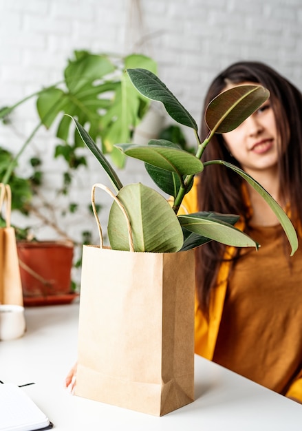 Foto planta de ficus joven en bolsa de artesanía ecológica en el jardín de su casa