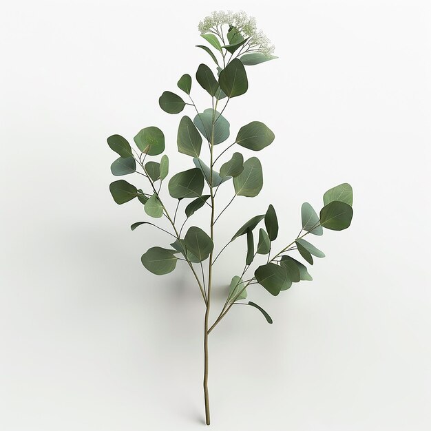 una planta con una flor blanca en el medio