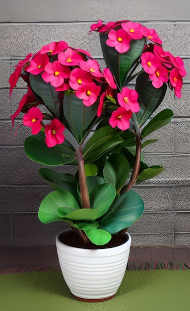 Una planta con flores rojas y hojas verdes.