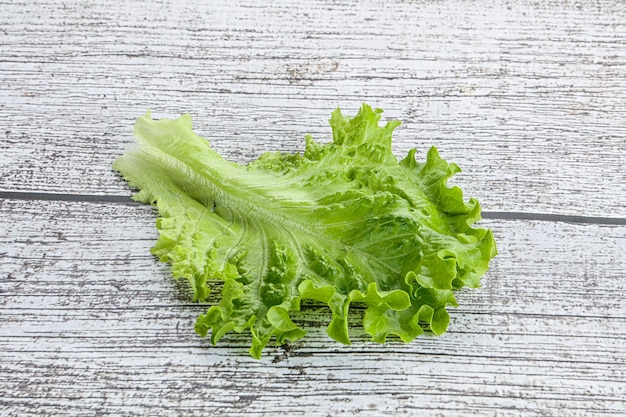 Planta de hoja de lechuga ensalada verde madura