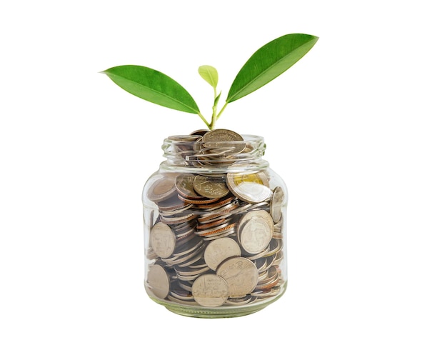 Planta de hoja verde en las monedas de ahorro Finanzas empresariales ahorro bancario concepto de inversión