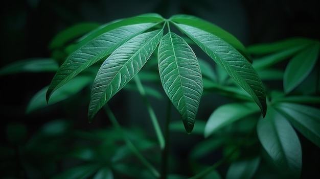 Foto una planta de hoja verde con un tallo y hojas